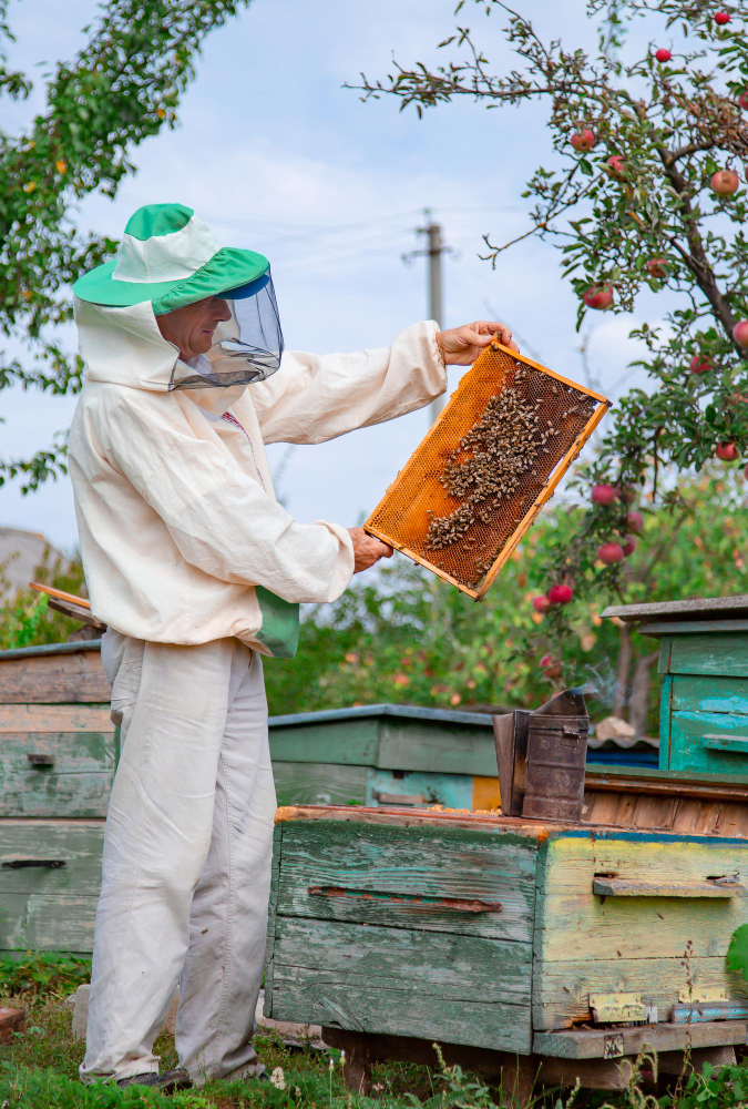 Centre de formation agréé pour les apiculteurs